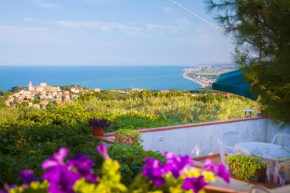 La Terrazza Del Conero monolocale